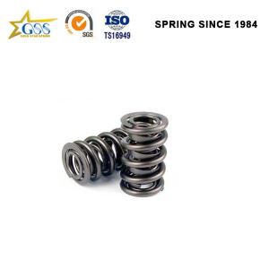 Dual Valve Springs